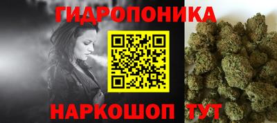 шишки Жуковский