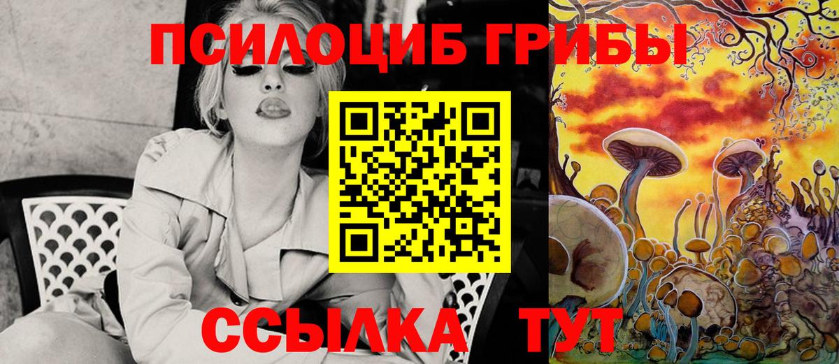 Псилоцибиновые грибы Cubensis Кинель