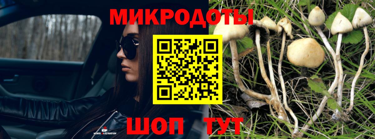 Кинель  Галлюциногенные грибы Cubensis  Галлюциногенные грибы мицелий  Вход с VPN 